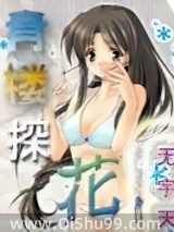 青楼探花