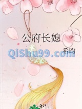 公府长媳