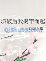 城破后我揭竿而起