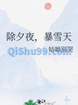 除夕夜，暴雪天