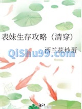 表妹生存攻略（清穿）
