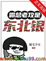 霸总老攻是东北银