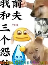我和三个怨种前夫