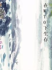 在WTO下生存