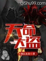 天命大盗