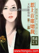 通缉令：惹上首席总裁