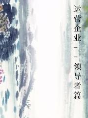 运营企业--领导者篇