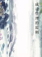 成功管理的原则