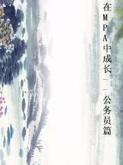 在MPA中成长--公务员篇