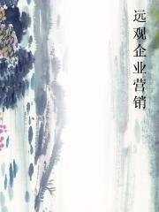 远观企业营销