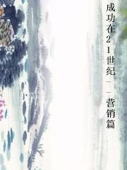 成功在21世纪--营销篇
