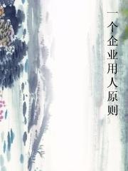 一个企业用人原则