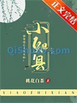 小知县
