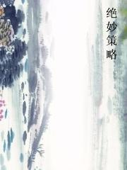 绝妙策略