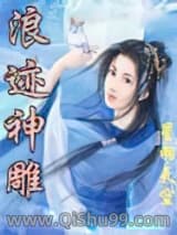 浪迹神雕
