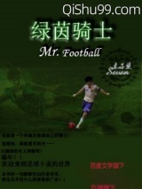 绿茵骑士