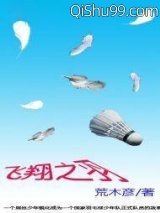 飞翔之羽