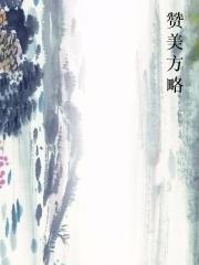 赞美方略