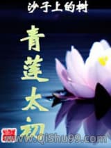 青莲太初