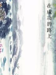 在成功的路上