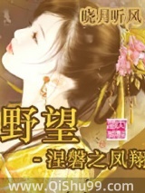 野望－涅磐之凤翔