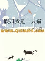 假如我是一只猫