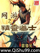 网游之精灵道士