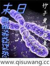 末日超级变种系统