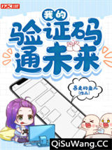 我的验证码通未来