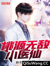 桃源无敌小医仙