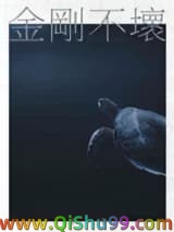 金刚不坏