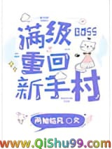 满级BOSS重回新手村