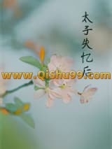 丞相夫人失忆后