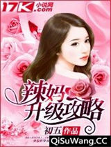 辣妈升级攻略