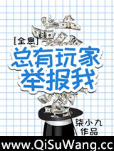 总有玩家举报我[全息]