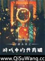 穿越未来之游戏中的丹药铺