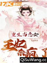 重生当恶女：王妃杀疯了