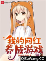 我的网红养成游戏