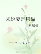 未婚妻是只猫