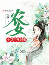 农女小艾奋斗记事