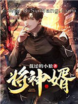 将神婿