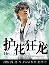 护花狂龙