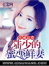 攻城掠爱：陆少的蜜恋鲜妻