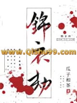 锦衣劫