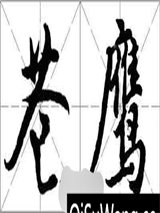 苍鹰1残余的光明