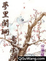梦里阑珊意未明（清穿） 下部
