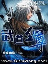 武道至尊