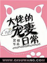 大佬的宠妻日常