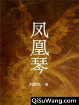 凤凰琴