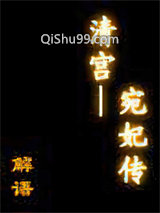 清宫——宛妃传